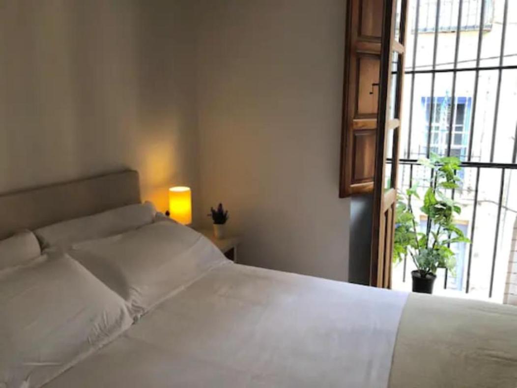 Apartamento Completo Reformado En Arco De Elvira - Centro Granada Luaran gambar